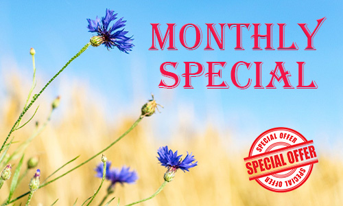Monthly Promotions