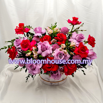 Spring Surprise