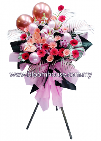 Best Wishes