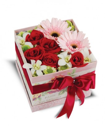Box of Wishes