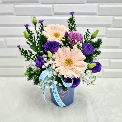 Gentle Blossoms