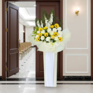 BC 103 - Dignified - Image 2