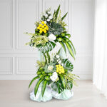 BC 109 - Ardent