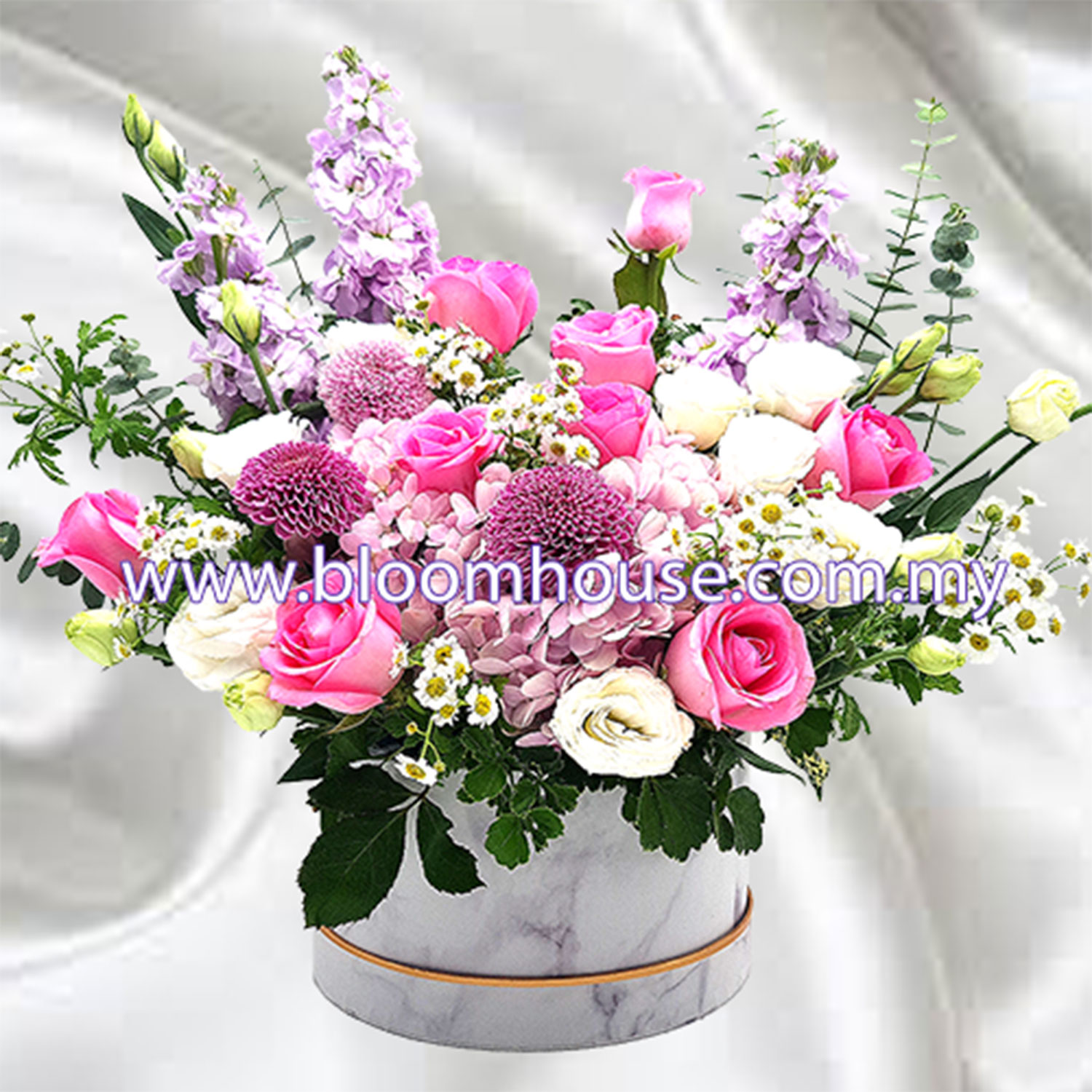 BX-503 BX 503 - Pastel Perfection - Image 1