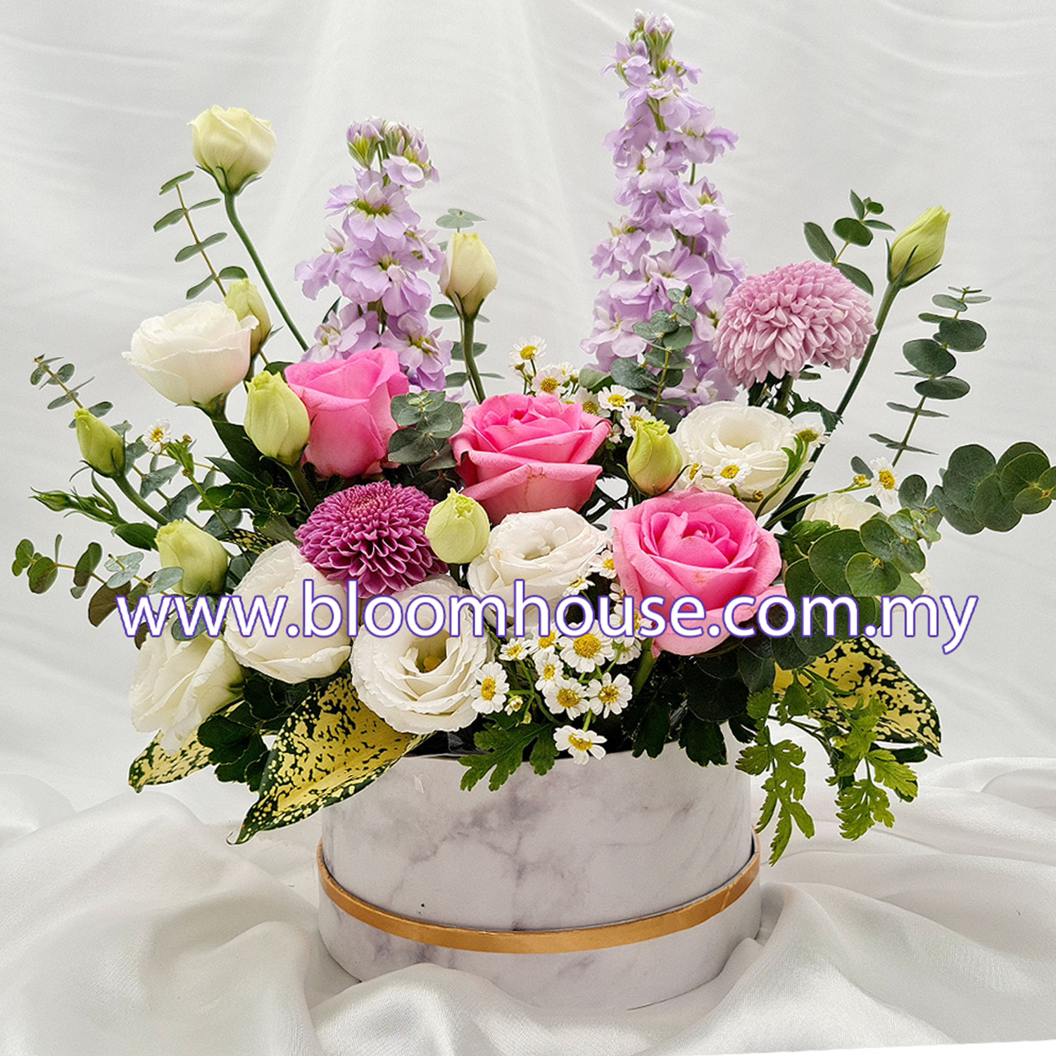 BX-504 BX 504 - Summer Bloom - Image 1