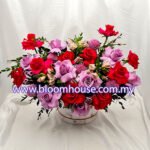 FDY 415 - Spring Surprise