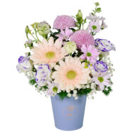 MB 202 BELLA BUSTA-Mom - Image 2
