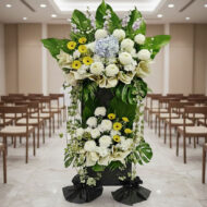 BC 301 - Memorable - Image 2