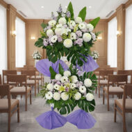 BC 302 - Timeless - Image 2