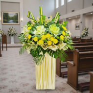 BC 312 - Faith - Image 2