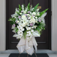 BC 322 - Blessing - Image 2