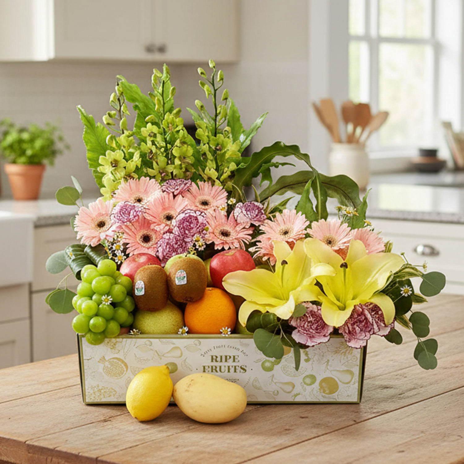 Untitled-1 FB 514 - Wholesome Delight - Image 1